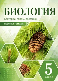 Рабочая тетрадь: Пасечник, 5 класс