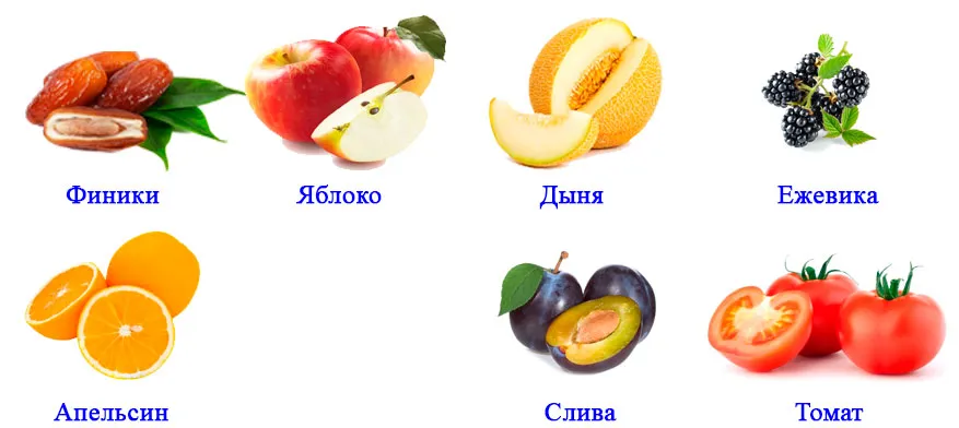 Пасечник 6, параграф 13